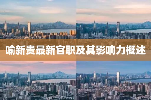 喻新贵最新官职及其影响力概述