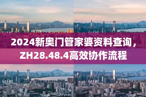 2024新奥门管家婆资料查询，ZH28.48.4高效协作流程