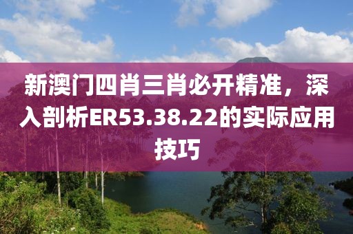 新澳门四肖三肖必开精准，深入剖析ER53.38.22的实际应用技巧
