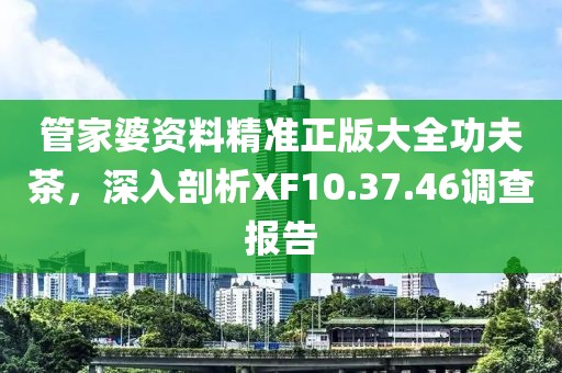 管家婆资料精准正版大全功夫茶，深入剖析XF10.37.46调查报告
