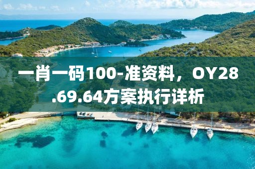一肖一码100-准资料，OY28.69.64方案执行详析