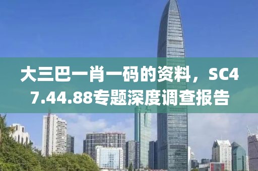 大三巴一肖一码的资料，SC47.44.88专题深度调查报告