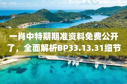 一肖中特期期准资料免费公开了，全面解析BP33.13.31细节