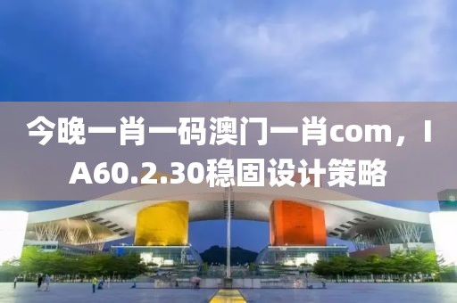 今晚一肖一码澳门一肖com，IA60.2.30稳固设计策略