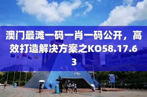 澳门最滩一码一肖一码公开，高效打造解决方案之KO58.17.63