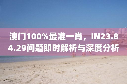 澳门100%最准一肖，IN23.84.29问题即时解析与深度分析