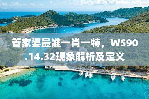 管家婆最准一肖一特，WS90.14.32现象解析及定义