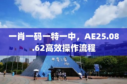 一肖一码一特一中，AE25.08.62高效操作流程