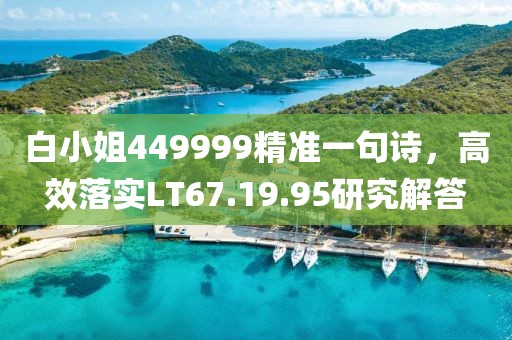 白小姐449999精准一句诗，高效落实LT67.19.95研究解答