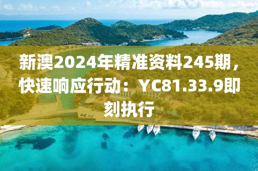 新澳2024年精准资料245期，快速响应行动：YC81.33.9即刻执行