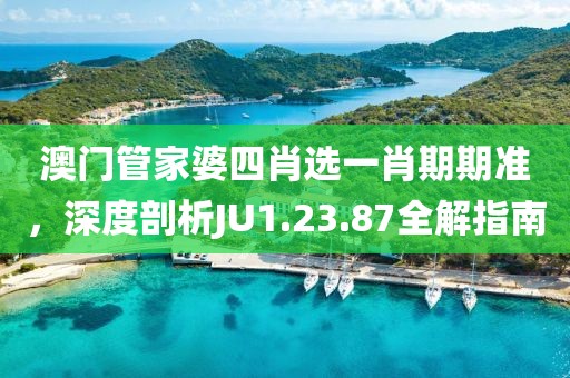 澳门管家婆四肖选一肖期期准，深度剖析JU1.23.87全解指南