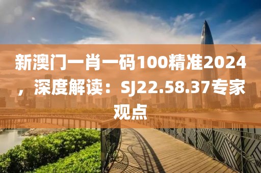 新澳门一肖一码100精准2024，深度解读：SJ22.58.37专家观点