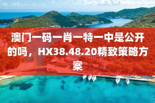 澳门一码一肖一特一中是公开的吗，HX38.48.20精致策略方案