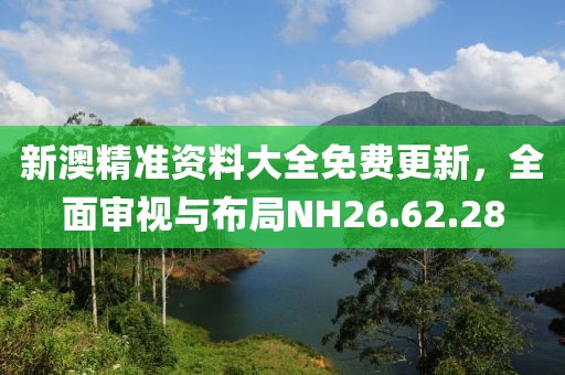新澳精准资料大全免费更新，全面审视与布局NH26.62.28
