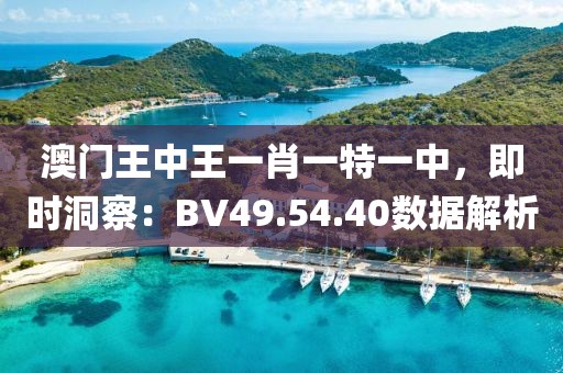 澳门王中王一肖一特一中，即时洞察：BV49.54.40数据解析