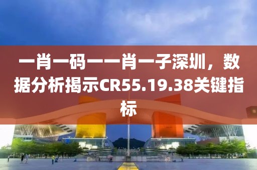 一肖一码一一肖一子深圳，数据分析揭示CR55.19.38关键指标