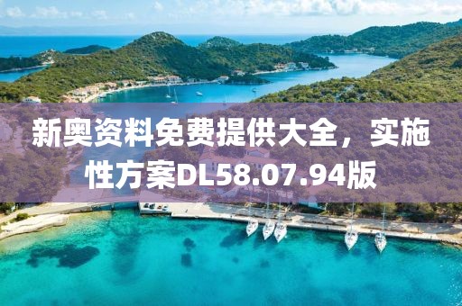 新奥资料免费提供大全，实施性方案DL58.07.94版