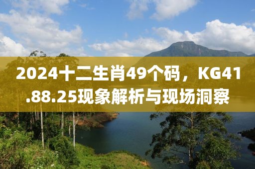 2024十二生肖49个码，KG41.88.25现象解析与现场洞察