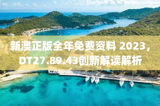 新澳正版全年免费资料 2023，DT27.89.43创新解读解析