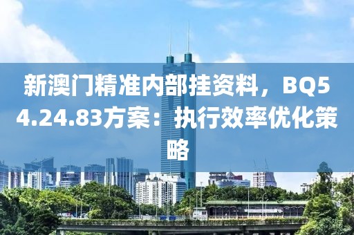 新澳门精准内部挂资料，BQ54.24.83方案：执行效率优化策略
