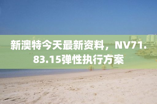 新澳特今天最新资料，NV71.83.15弹性执行方案