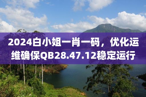 2024白小姐一肖一码，优化运维确保QB28.47.12稳定运行