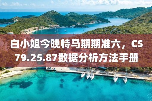 白小姐今晚特马期期准六，CS79.25.87数据分析方法手册