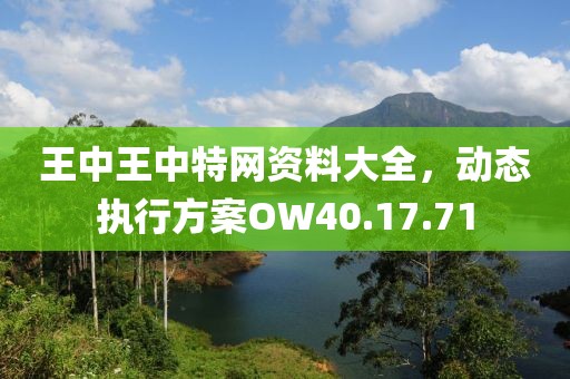 王中王中特网资料大全，动态执行方案OW40.17.71