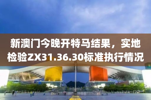 新澳门今晚开特马结果，实地检验ZX31.36.30标准执行情况
