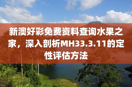 新澳好彩免费资料查询水果之家，深入剖析MH33.3.11的定性评估方法