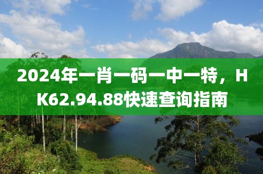 2024年一肖一码一中一特，HK62.94.88快速查询指南