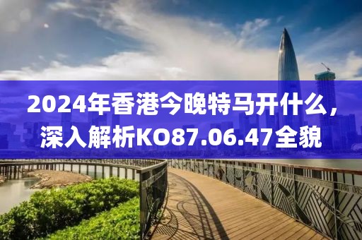 2024年香港今晚特马开什么，深入解析KO87.06.47全貌