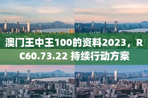 澳门王中王100的资料2023，RC60.73.22 持续行动方案