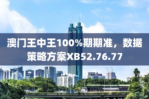 澳门王中王100%期期准，数据策略方案XB52.76.77