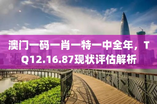 澳门一码一肖一特一中全年，TQ12.16.87现状评估解析