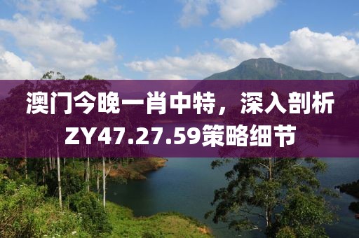 澳门今晚一肖中特，深入剖析ZY47.27.59策略细节
