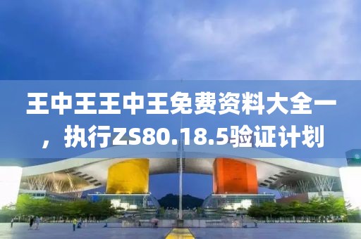 王中王王中王免费资料大全一，执行ZS80.18.5验证计划