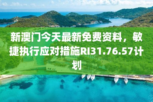 新澳门今天最新免费资料，敏捷执行应对措施RI31.76.57计划