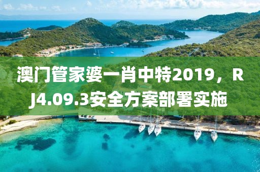 澳门管家婆一肖中特2019，RJ4.09.3安全方案部署实施