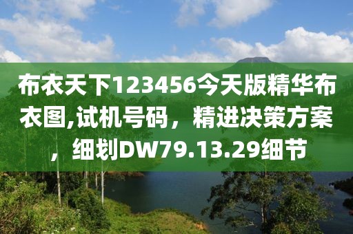 布衣天下123456今天版精华布衣图,试机号码，精进决策方案，细划DW79.13.29细节