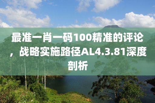 最准一肖一码100精准的评论，战略实施路径AL4.3.81深度剖析
