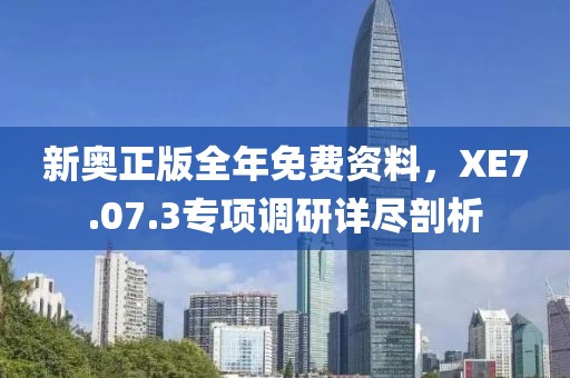 新奥正版全年免费资料，XE7.07.3专项调研详尽剖析