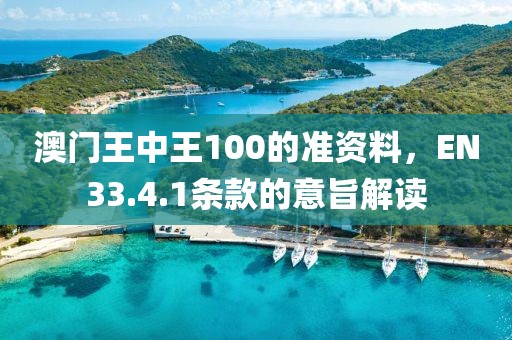 澳门王中王100的准资料，EN33.4.1条款的意旨解读