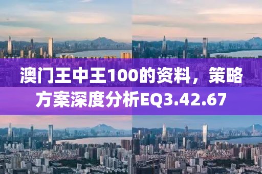 澳门王中王100的资料，策略方案深度分析EQ3.42.67