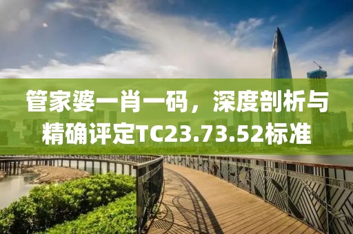 管家婆一肖一码，深度剖析与精确评定TC23.73.52标准