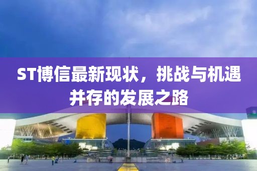 ST博信最新现状，挑战与机遇并存的发展之路