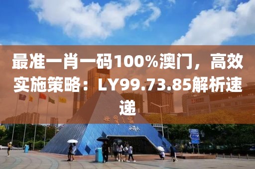 最准一肖一码100%澳门，高效实施策略：LY99.73.85解析速递