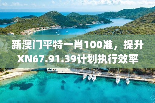 新澳门平特一肖100准，提升XN67.91.39计划执行效率