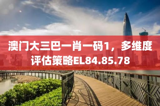 澳门大三巴一肖一码1，多维度评估策略EL84.85.78