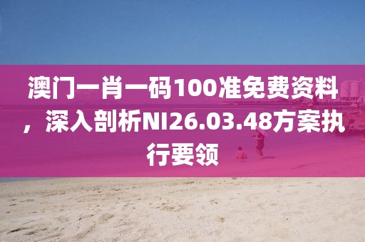 澳门一肖一码100准免费资料，深入剖析NI26.03.48方案执行要领